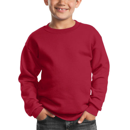 Port & Company ®  - Youth Core Fleece Crewneck Sweatshirt.  PC90Y