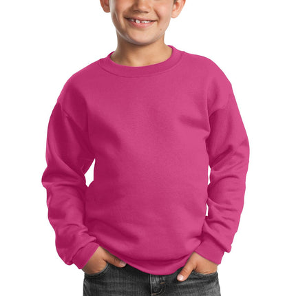 Port & Company ®  - Youth Core Fleece Crewneck Sweatshirt.  PC90Y
