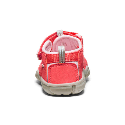 Toddlers' Seacamp II CNX  |  Dubarry/Giggle Pink