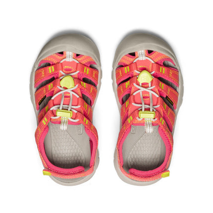 Little Kids' Newport Boundless Sandal  |  Dubarry/Evening Primrose