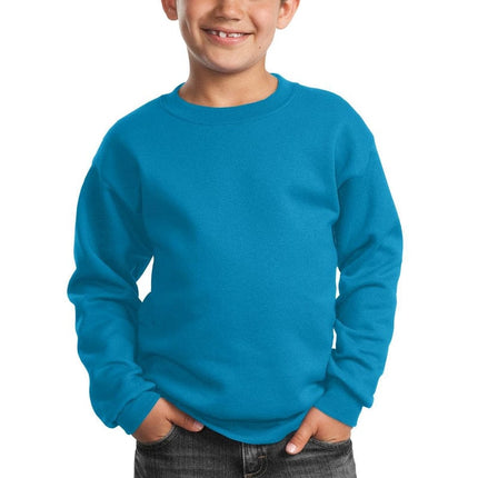 Port & Company ®  - Youth Core Fleece Crewneck Sweatshirt.  PC90Y