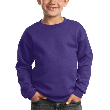 Port & Company ®  - Youth Core Fleece Crewneck Sweatshirt.  PC90Y