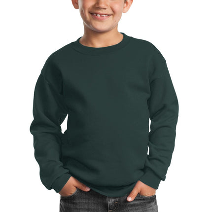 Port & Company ®  - Youth Core Fleece Crewneck Sweatshirt.  PC90Y